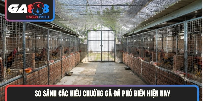 So sánh các kiểu chuồng gà đá phổ biến hiện nay