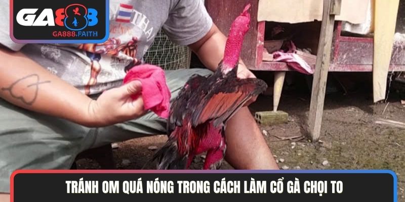 Tránh om quá nóng trong cách làm cổ gà chọi to