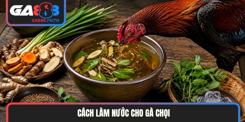 cách làm nước cho gà chọi