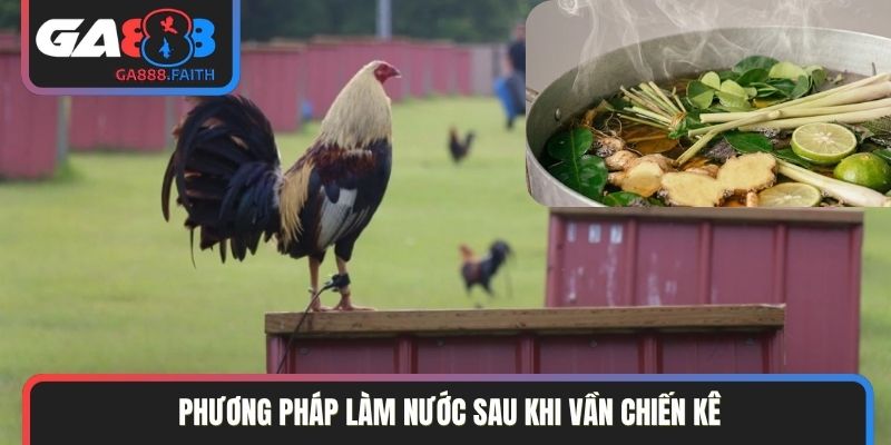Phương pháp làm nước sau khi vần chiến kê
