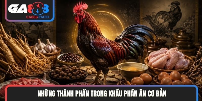 Những thành phần trong khẩu phần ăn cơ bản