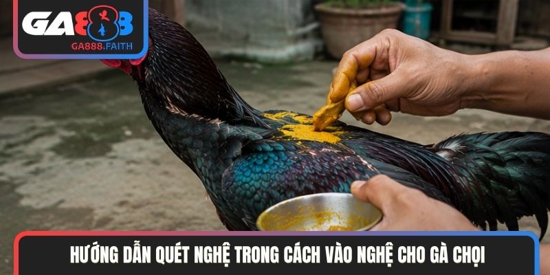 Hướng dẫn quét nghệ trong cách vào nghệ cho gà chọi