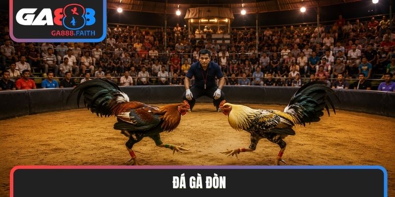 Đá gà đòn