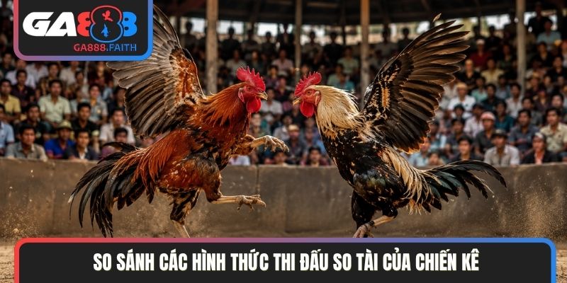 So sánh các hình thức thi đấu so tài của chiến kê