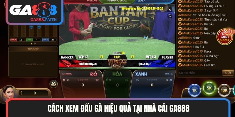 Cách xem đấu gà hiệu quả tại nhà cái GA888