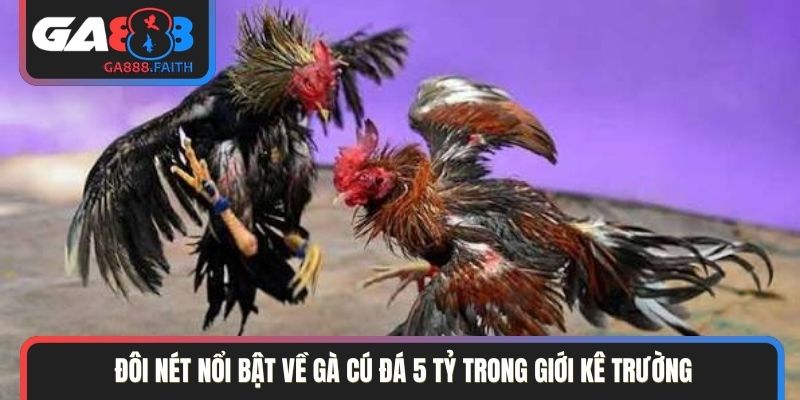 Đôi nét nổi bật về gà cú đá 5 tỷ trong giới kê trường