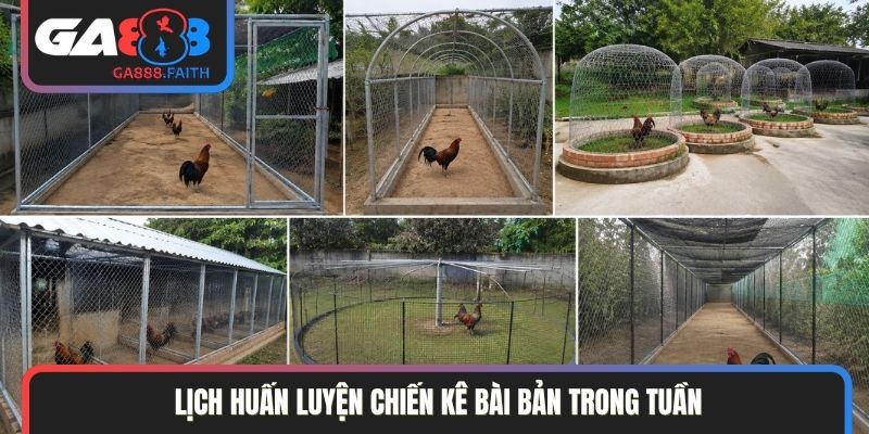 Lịch huấn luyện chiến kê bài bản trong tuần