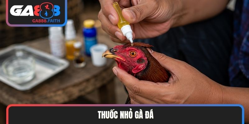 Thuốc nhỏ gà đá
