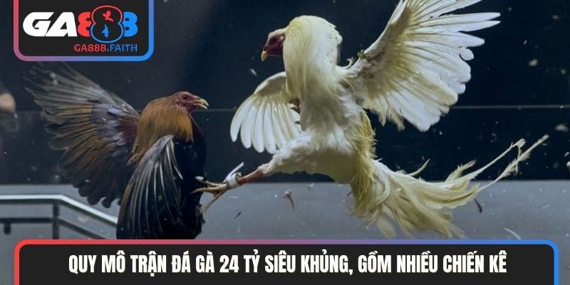 Quy mô trận đá gà 24 tỷ siêu khủng, gồm nhiều chiến kê