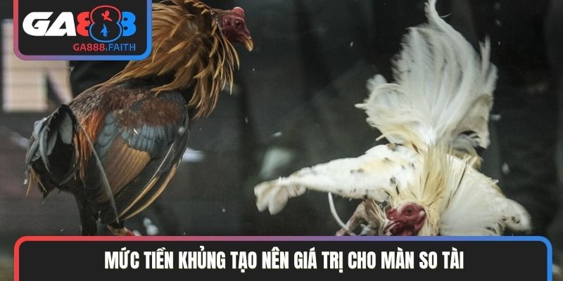 Mức tiền khủng tạo nên giá trị cho màn so tài