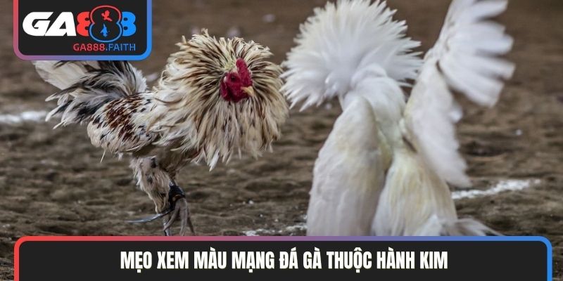 Mẹo xem màu mạng đá gà thuộc hành Kim