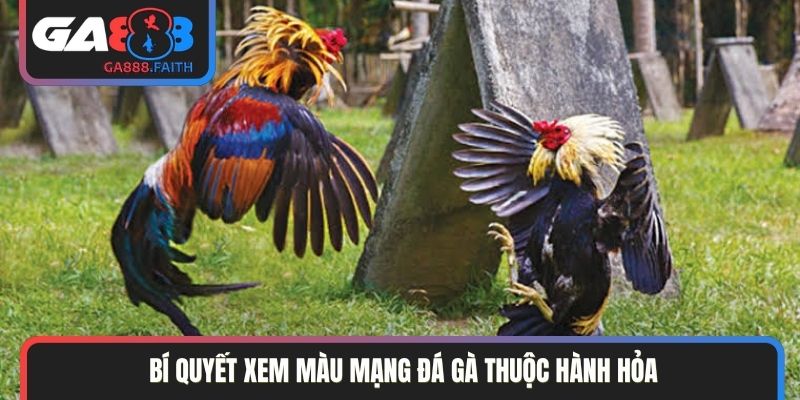 Bí quyết xem màu mạng đá gà thuộc hành Hỏa