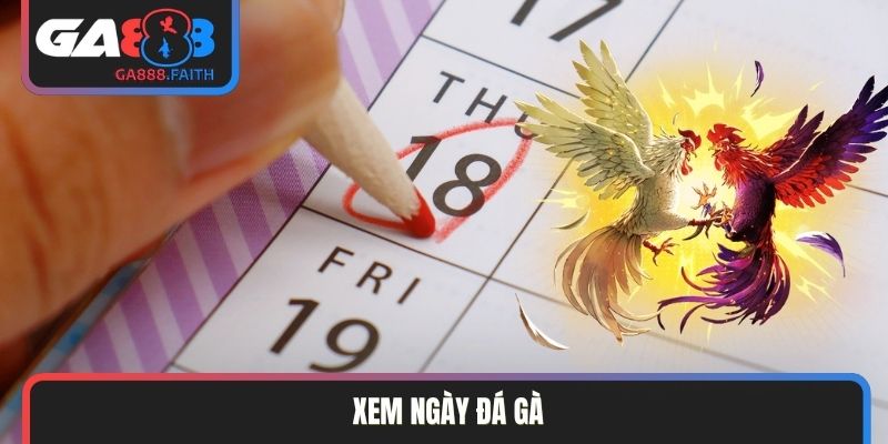 Xem ngày đá gà