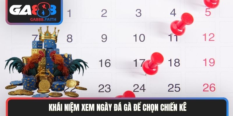 Khái niệm xem ngày đá gà để chọn chiến kê