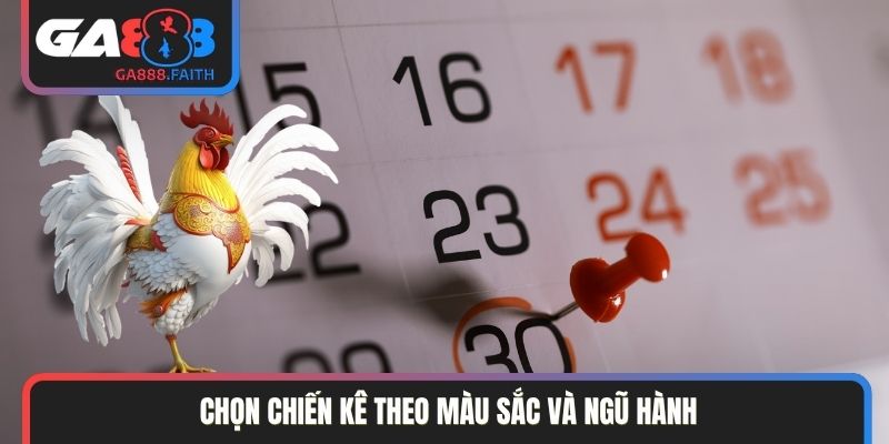 Chọn chiến kê theo màu sắc và ngũ hành